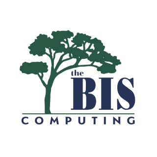 The BIS Computing